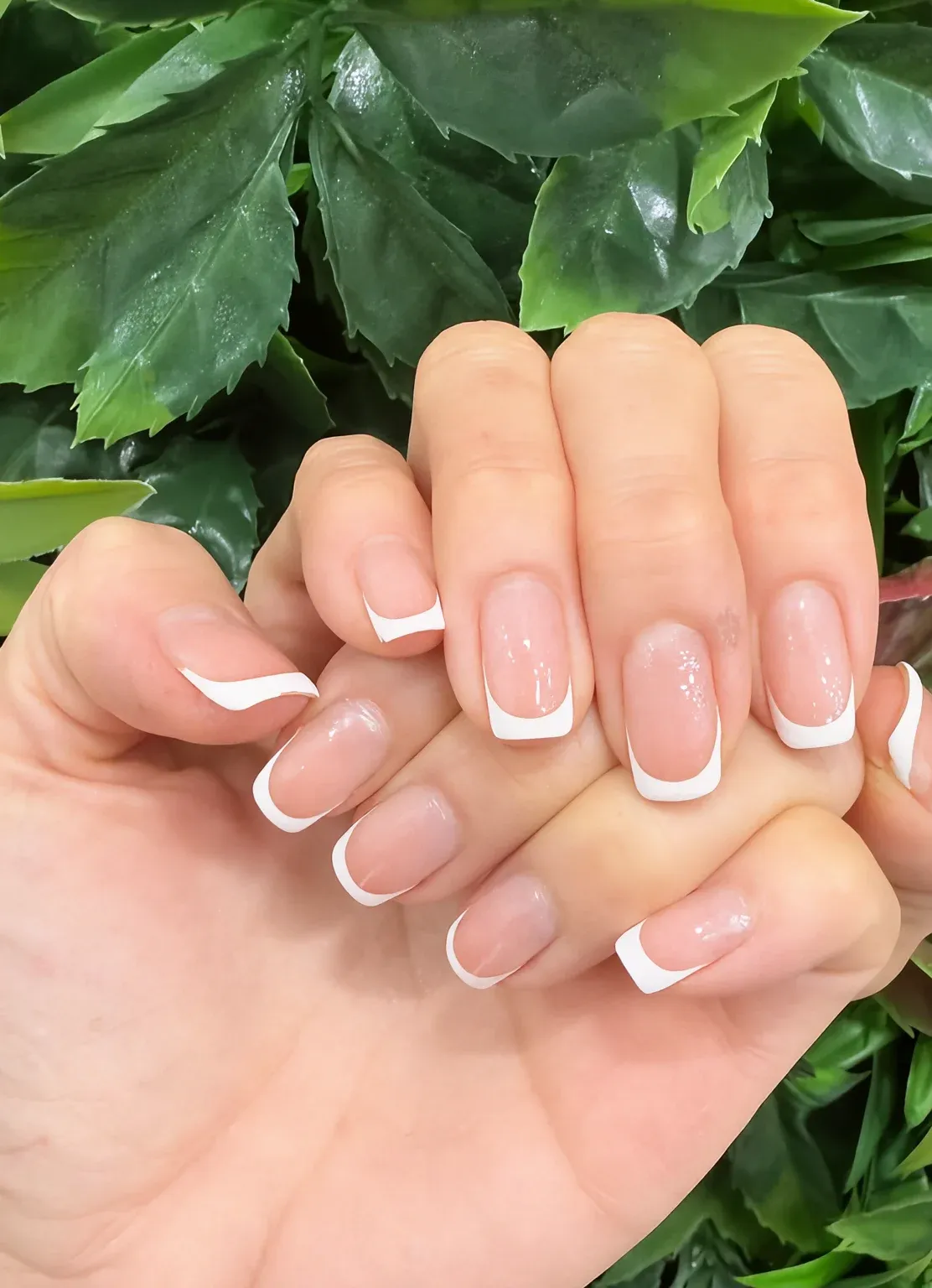 Clean white French tips on square-shaped nails