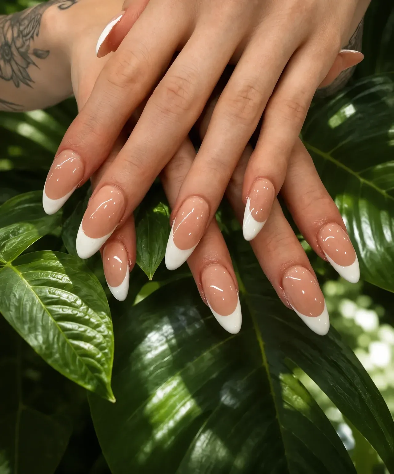 Almond nails with crisp white French tips resting on tropical monstera leaves